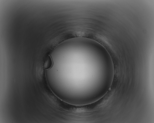 X0000089680645200706281358