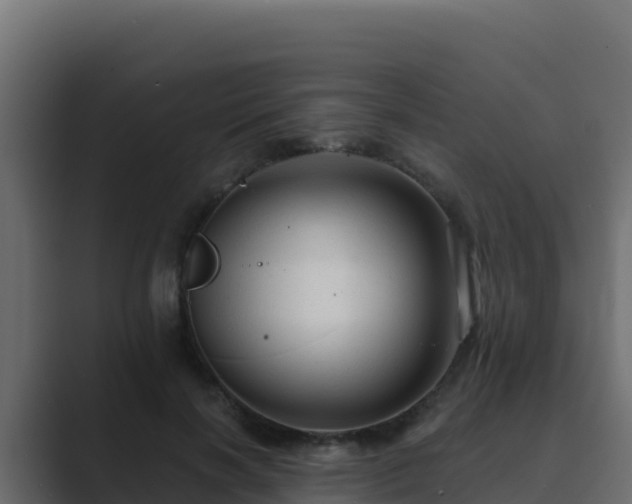 X0000089680646200706281358