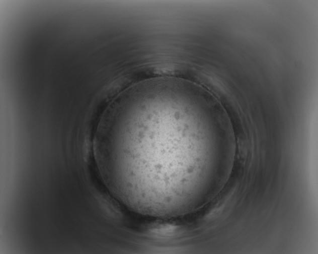 X0000089680648200706281358