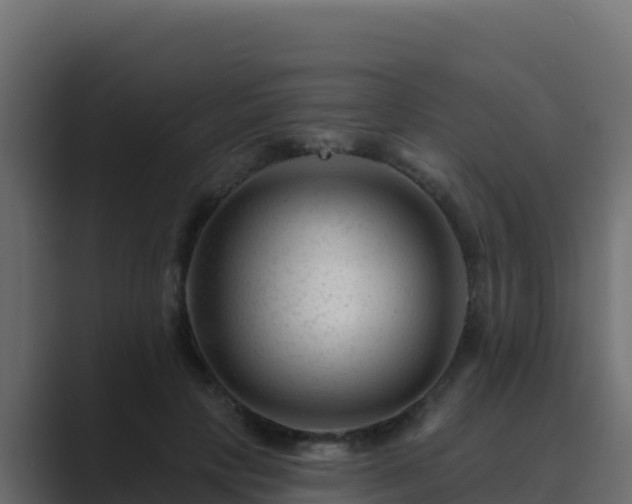 X0000089680649200706281358