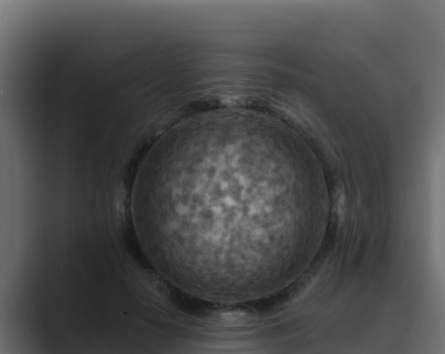 X0000089680650200706281358