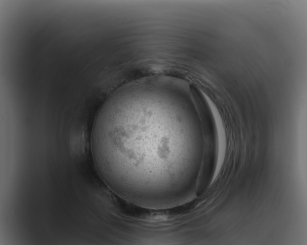 X0000089680651200706281358