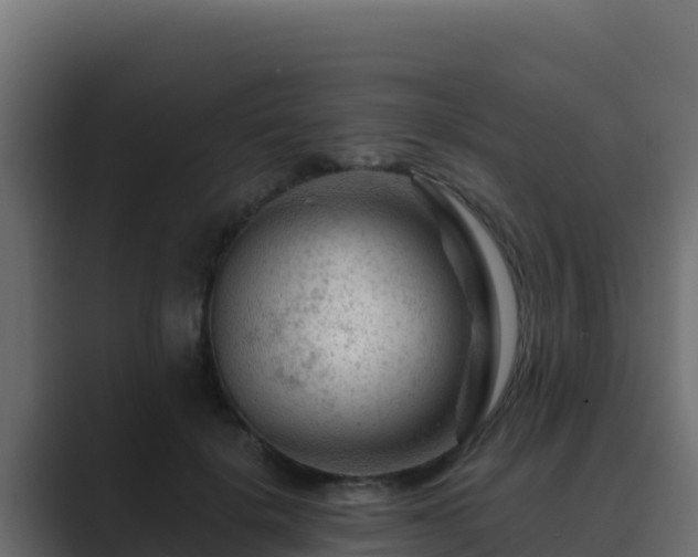 X0000089680652200706281358
