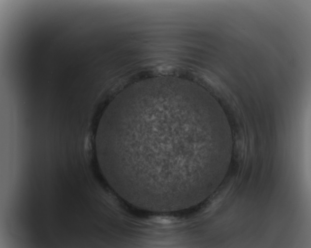 X0000089680654200706281358