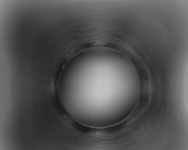 X0000089680655200706281358