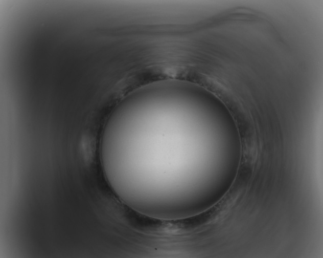 X0000089680656200706281358