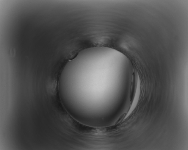 X0000089680660200706281358