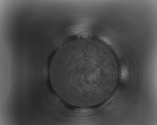X0000089680661200706281358