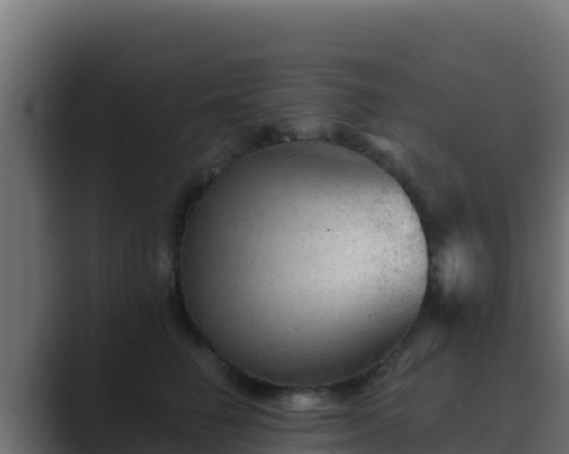 X0000089680662200706281358