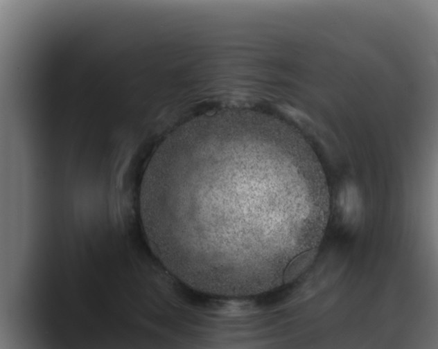 X0000089680663200706281358