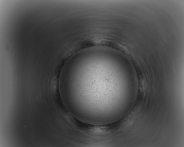 X0000089680664200706281359