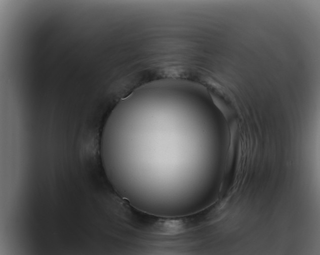 X0000089680665200706281359