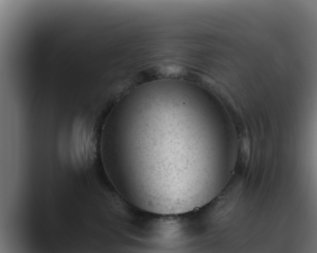 X0000089680668200706281359