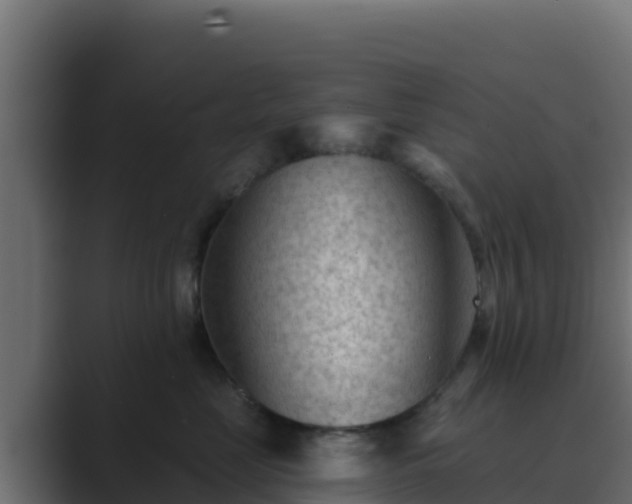 X0000089680669200706281359