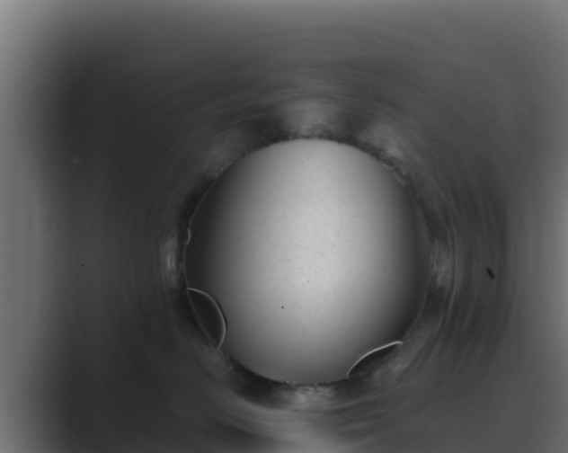 X0000089680670200706281359