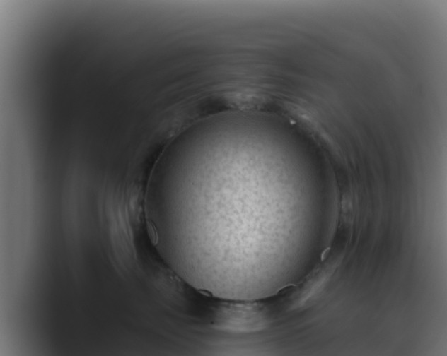 X0000089680671200706281359