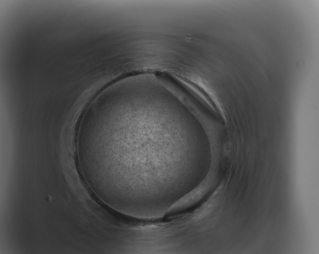 X0000089680673200706281358