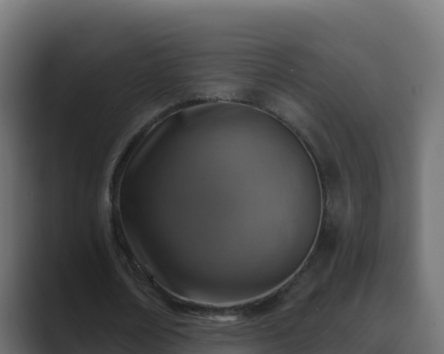 X0000089680674200706281358