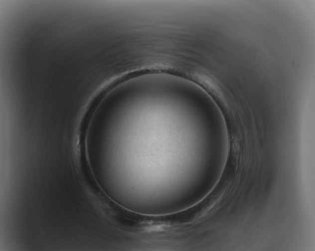 X0000089680676200706281358