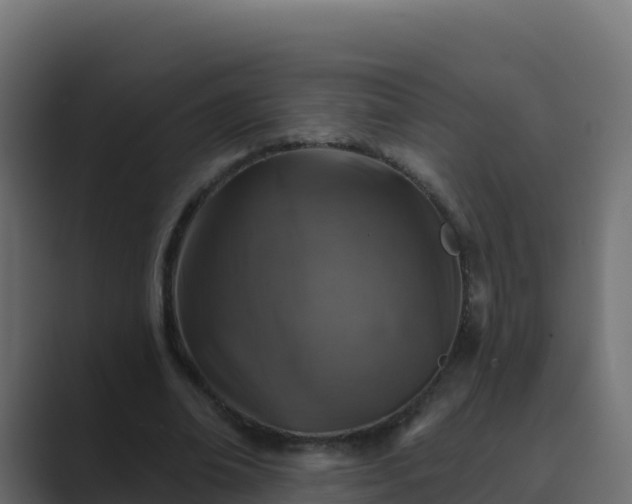 X0000089680678200706281358