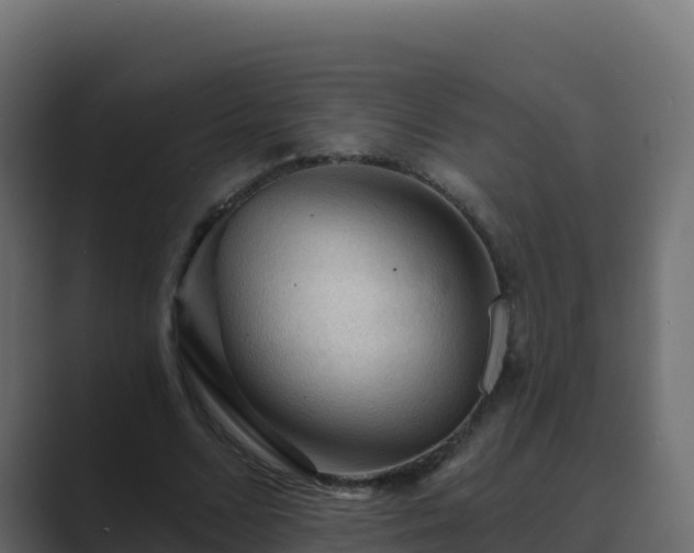 X0000089680680200706281358