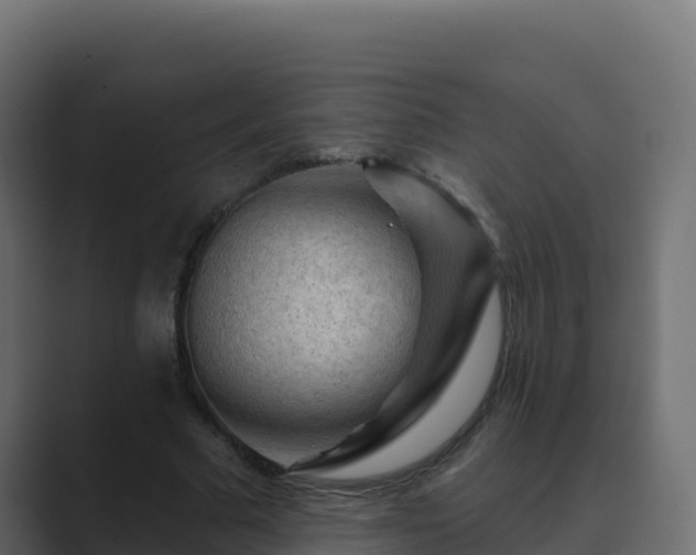 X0000089680681200706281358
