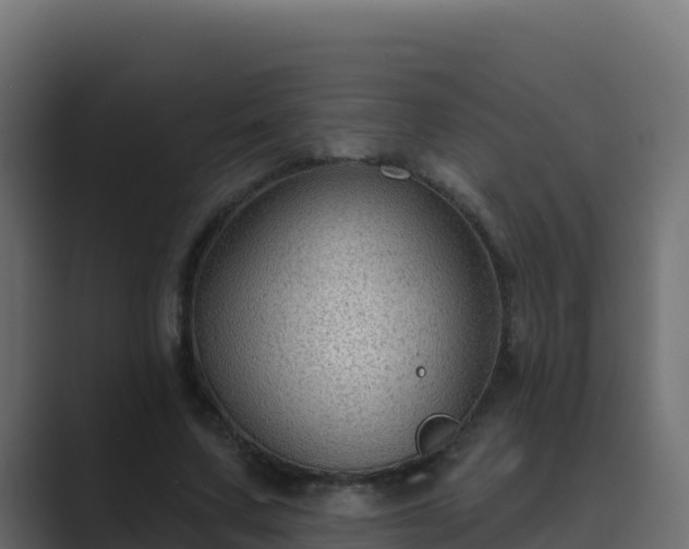 X0000089680683200706281358