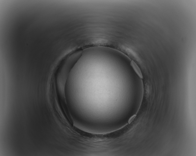X0000089680684200706281358