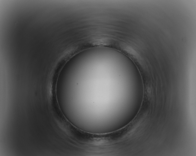 X0000089680686200706281358