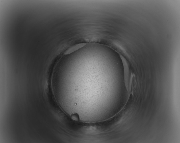 X0000089680687200706281358