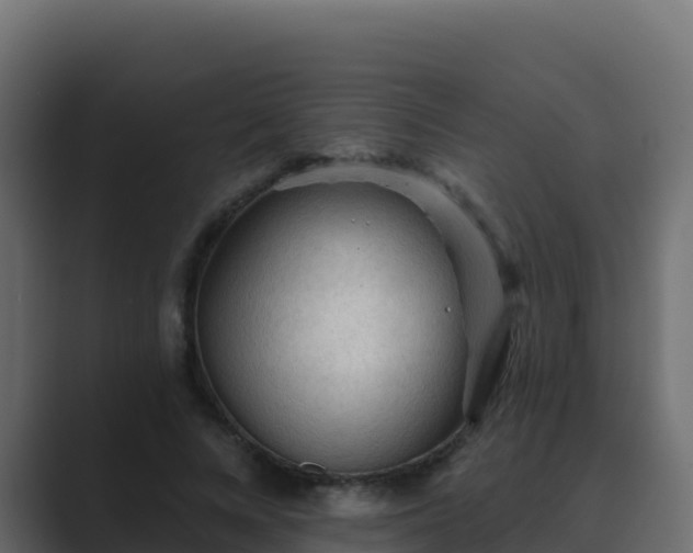 X0000089680688200706281358