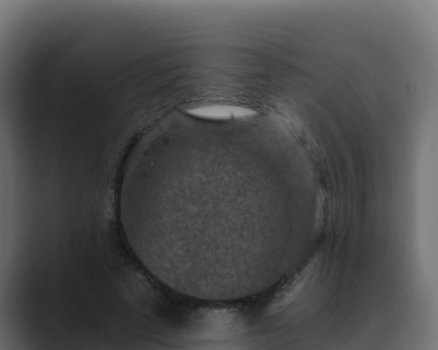 X0000089680689200706281358