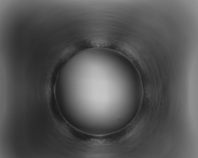 X0000089680690200706281358
