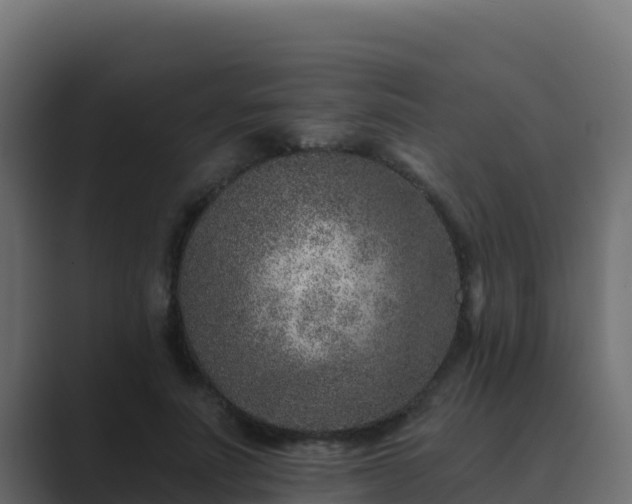 X0000089680691200706281358