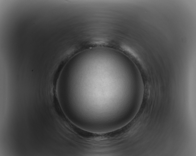 X0000089680692200706281358