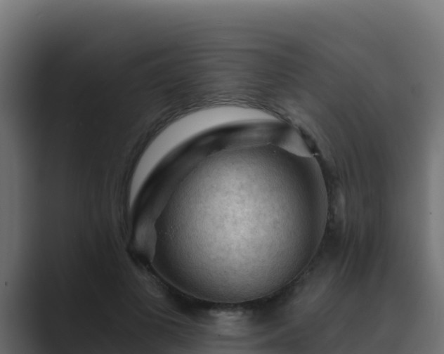 X0000089680693200706281358