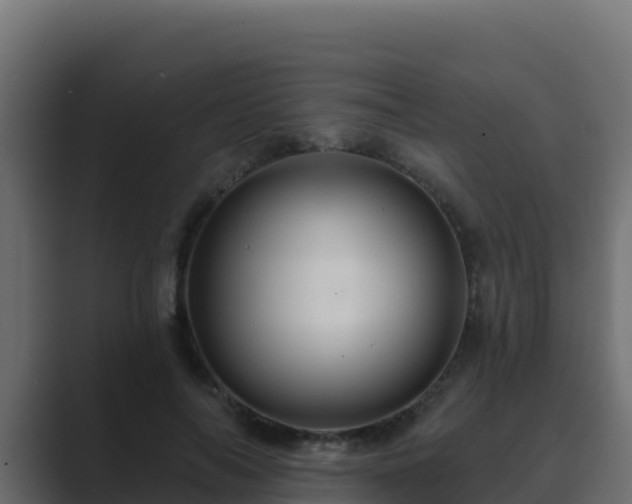 X0000089680694200706281358