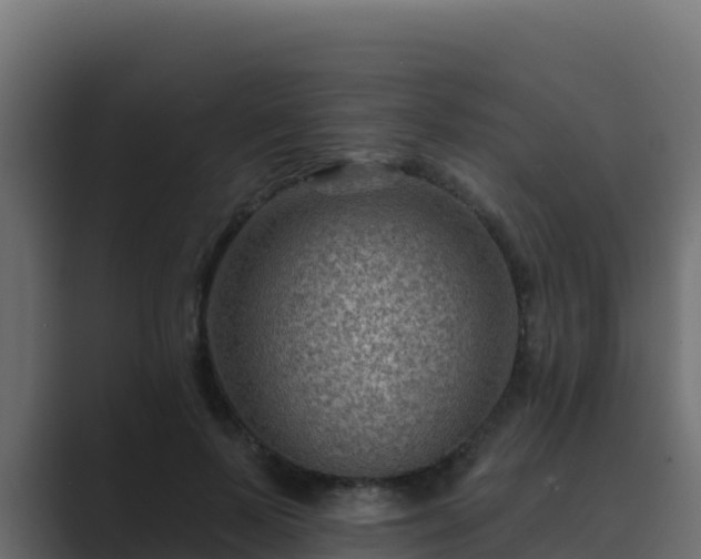 X0000089680695200706281358