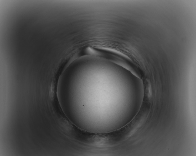 X0000089680697200706281358