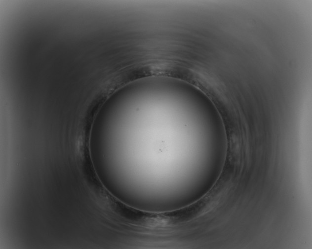 X0000089680698200706281358