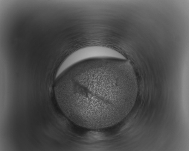 X0000089680699200706281358