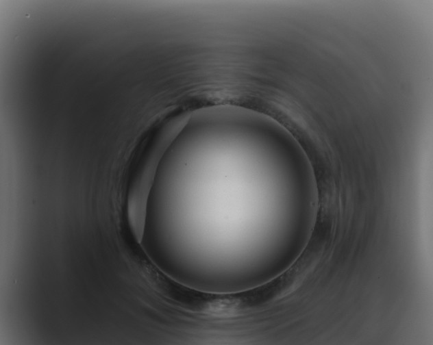 X0000089680700200706281358