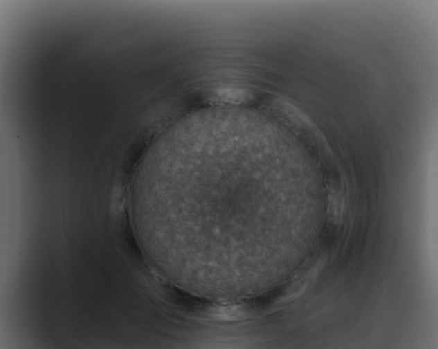 X0000089680701200706281358