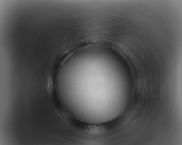 X0000089680703200706281358