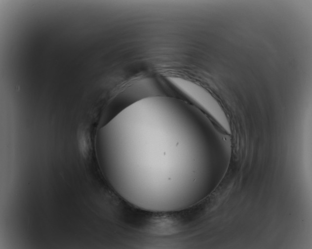 X0000089680704200706281358