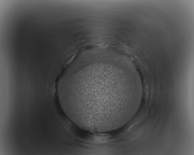 X0000089680707200706281357