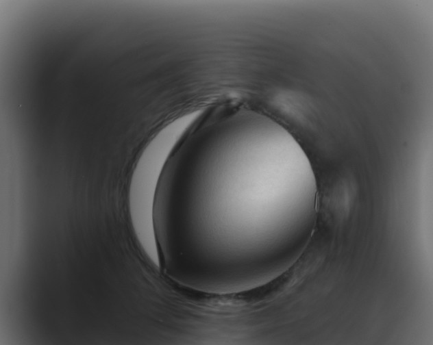 X0000089680708200706281357