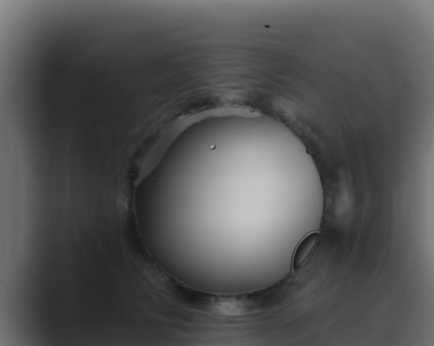 X0000089680710200706281357