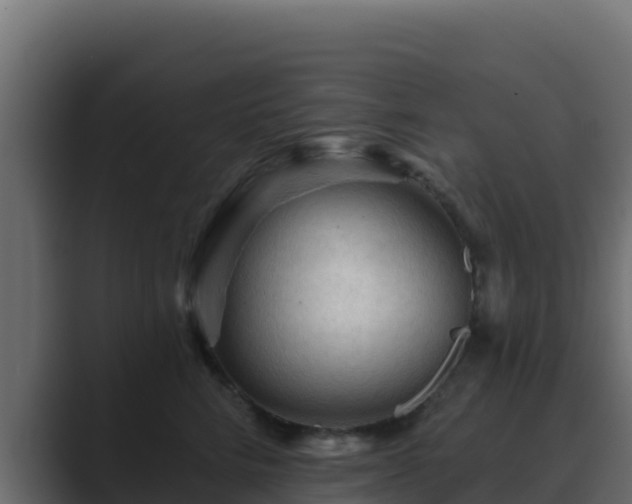 X0000089680712200706281357