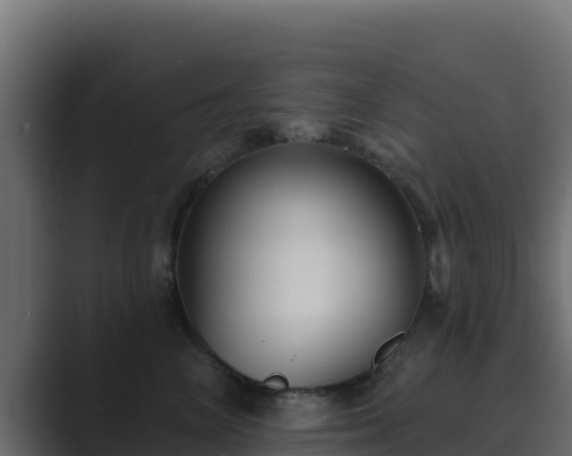 X0000089680714200706281357